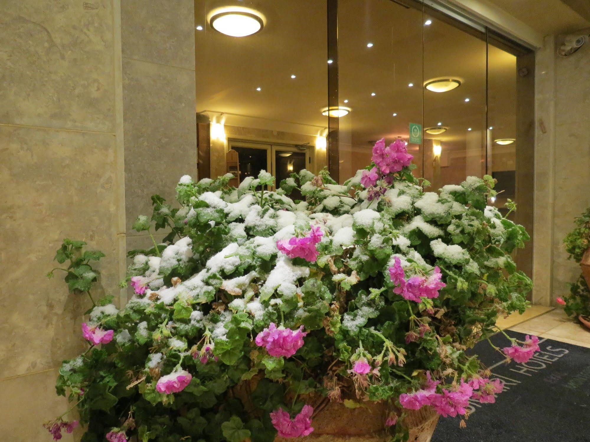 Ramon Suites By Smart Hotels Mitzpe Ramon Luaran gambar